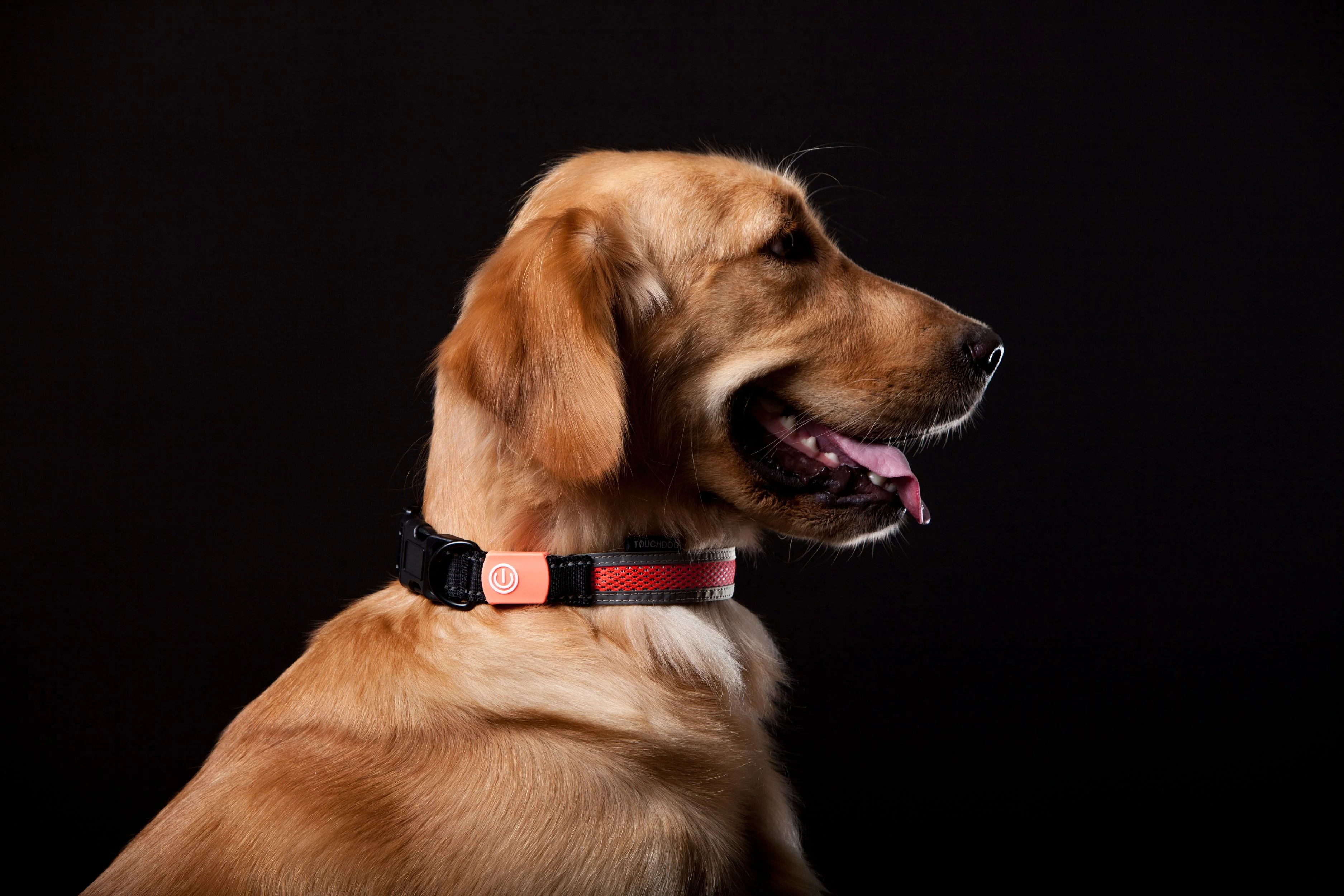 Touchdog ®'Lumiglow' 2-in-1 USB Charging LED Lighting Water-Resistant Dog Leash and Collar - Image 5