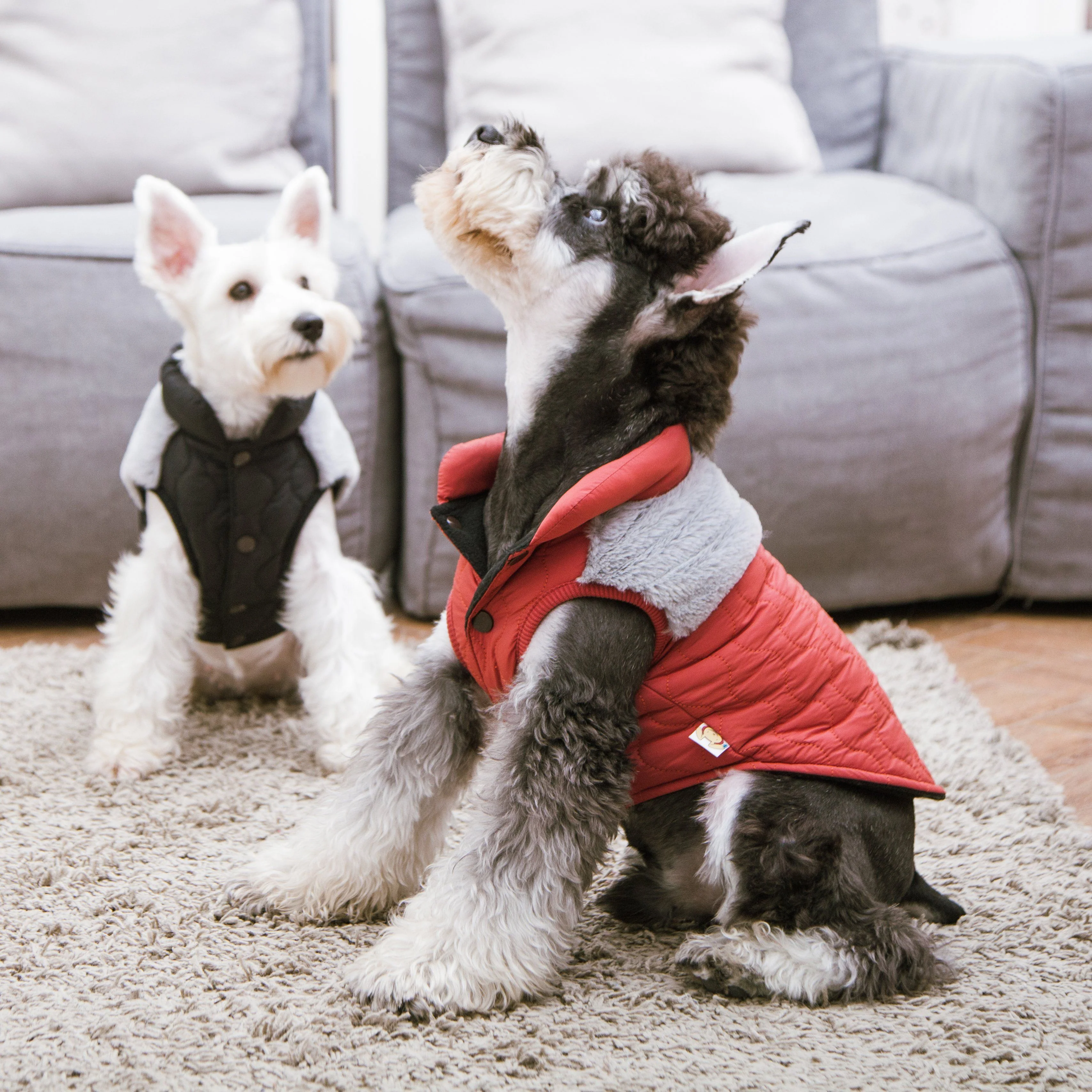 Touchdog 'Furrost-Bite' Fur and Fleece Designer Fashion Dog Jacket - Image 9