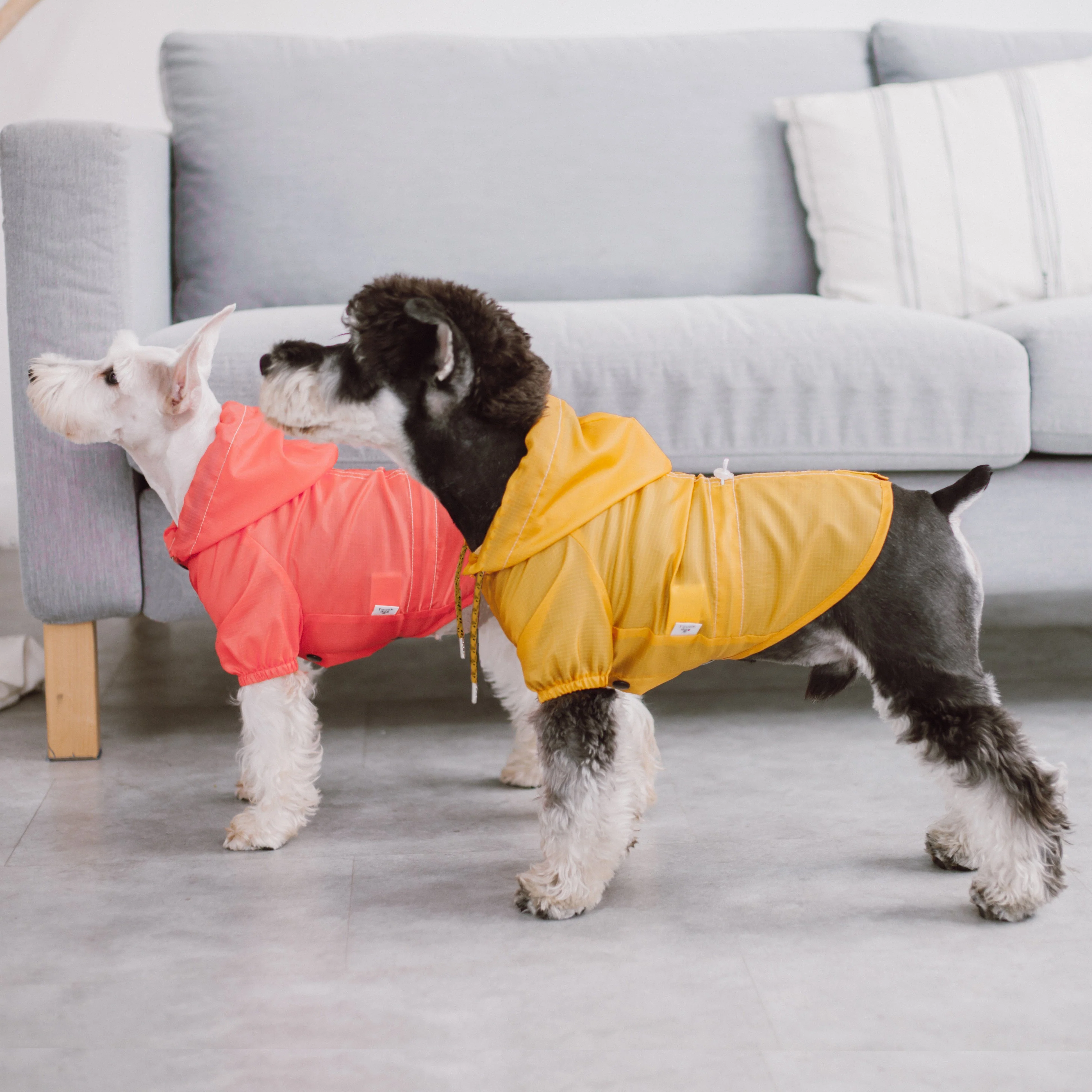 Touchdog Split-Vent Designer Waterproof Dog Raincoat - Image 5