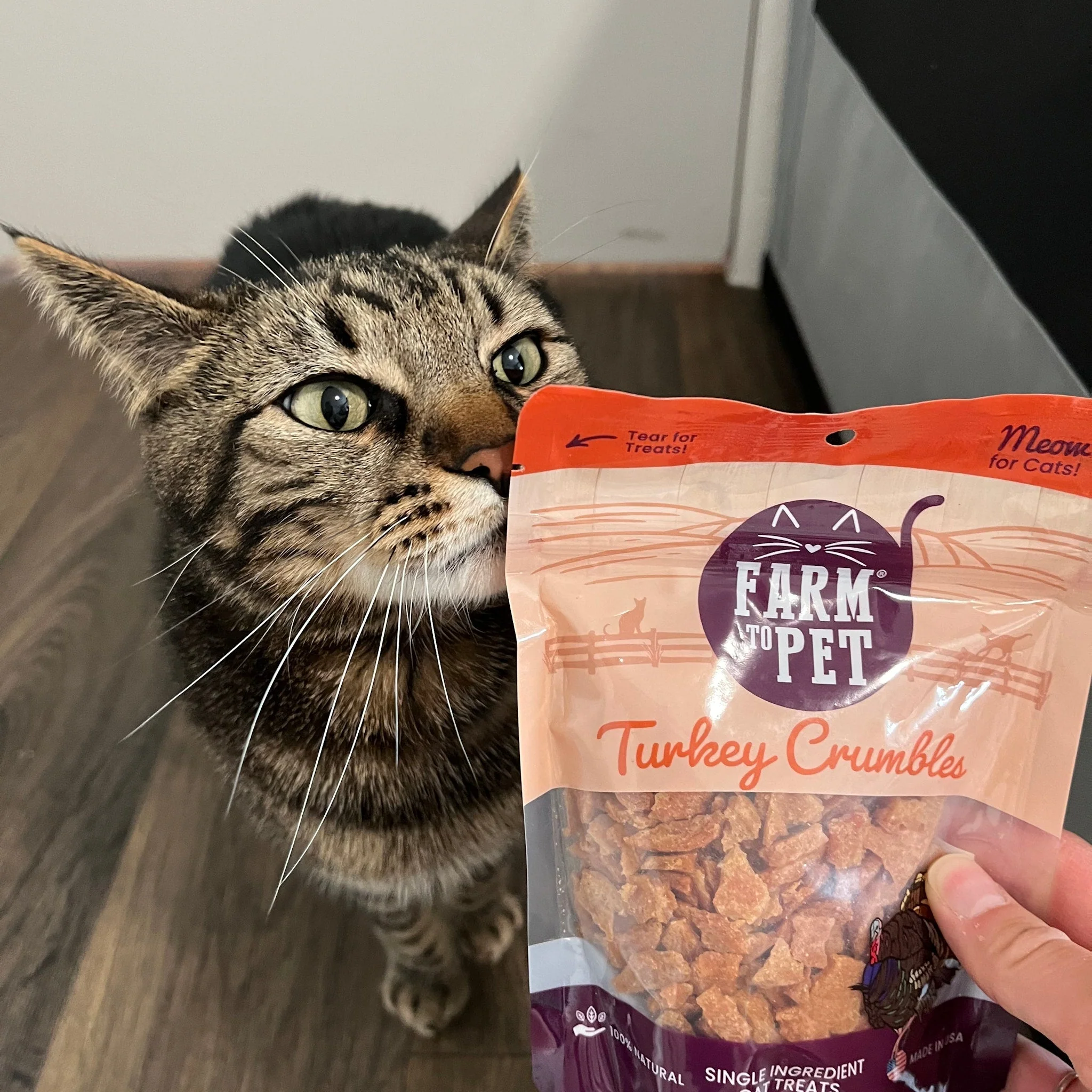 Turkey Crumbles for Cats | Grain-Free Cat Treats - Image 3