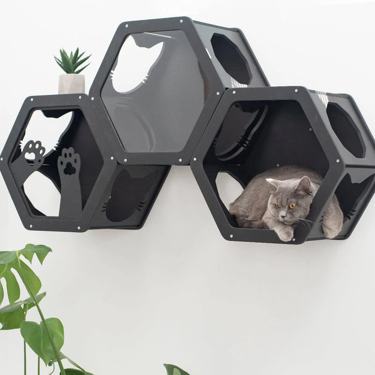 Wall Mount Cat Shelves Black - Image 3