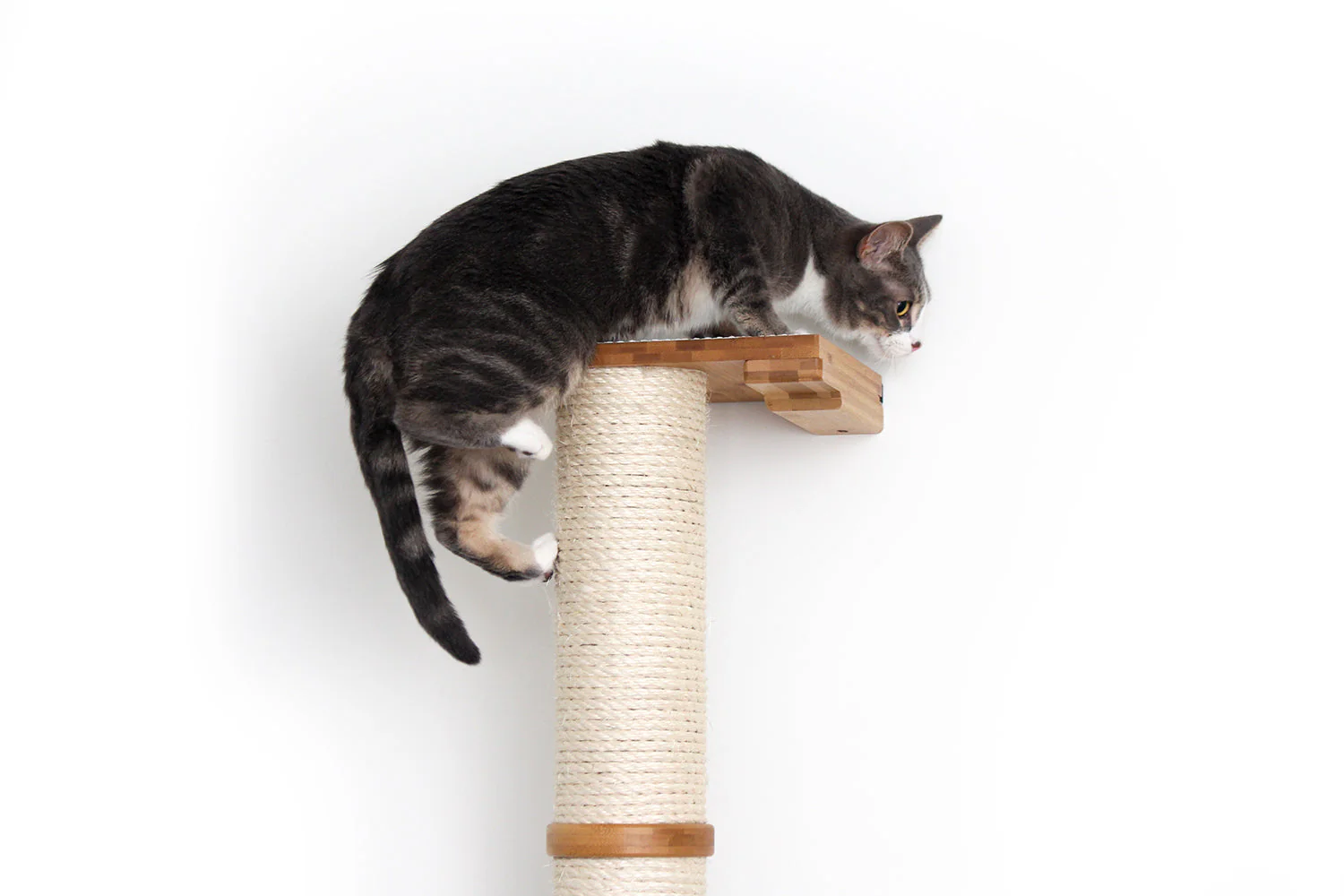 Wall Mounted Cat Climbing Pole - Sisal - Image 35