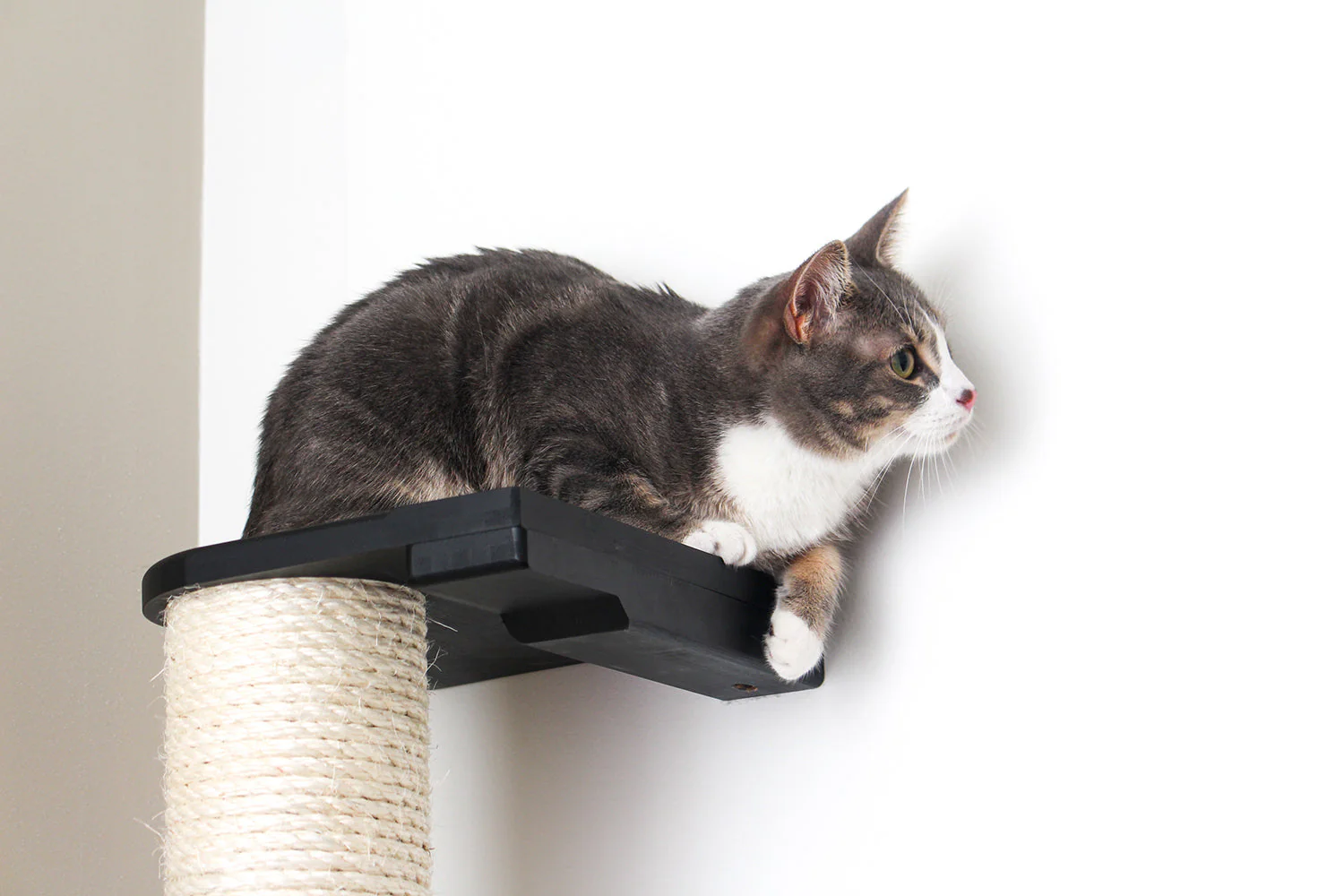 Wall Mounted Cat Climbing Pole - Sisal - Image 49