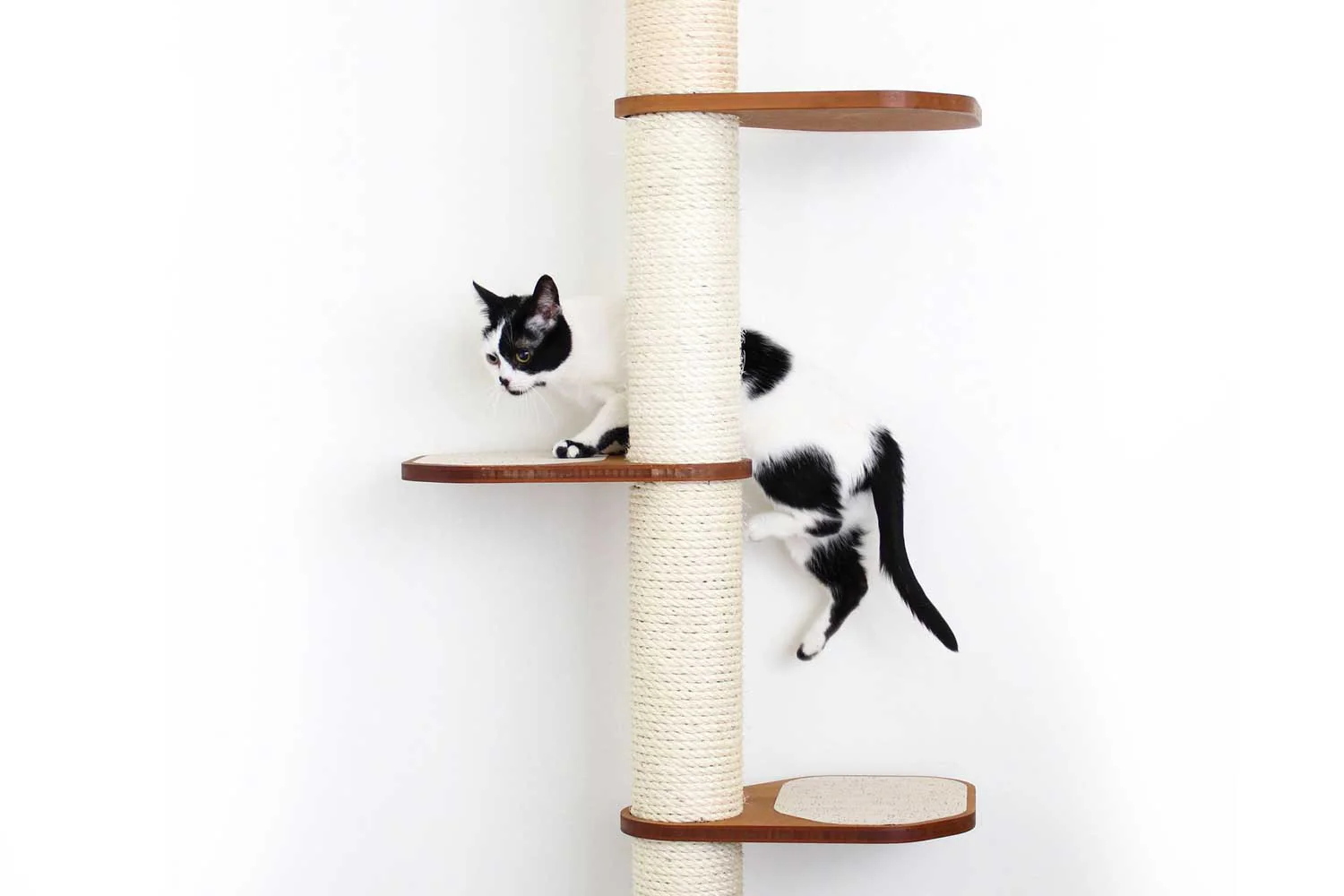 Wall Mounted Cat Climbing Pole - Sisal - Image 5