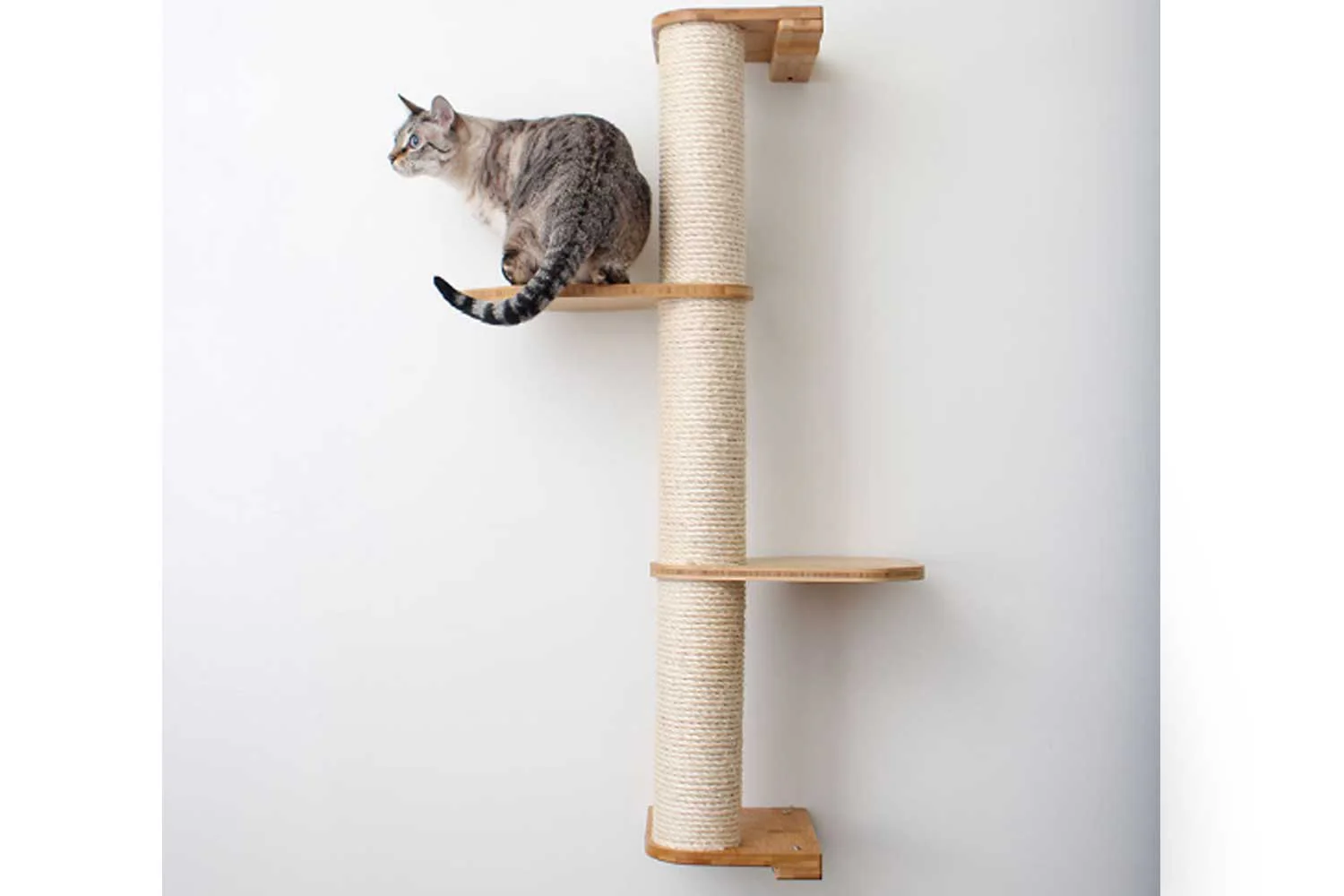 Wall Mounted Cat Climbing Pole - Sisal - Image 50
