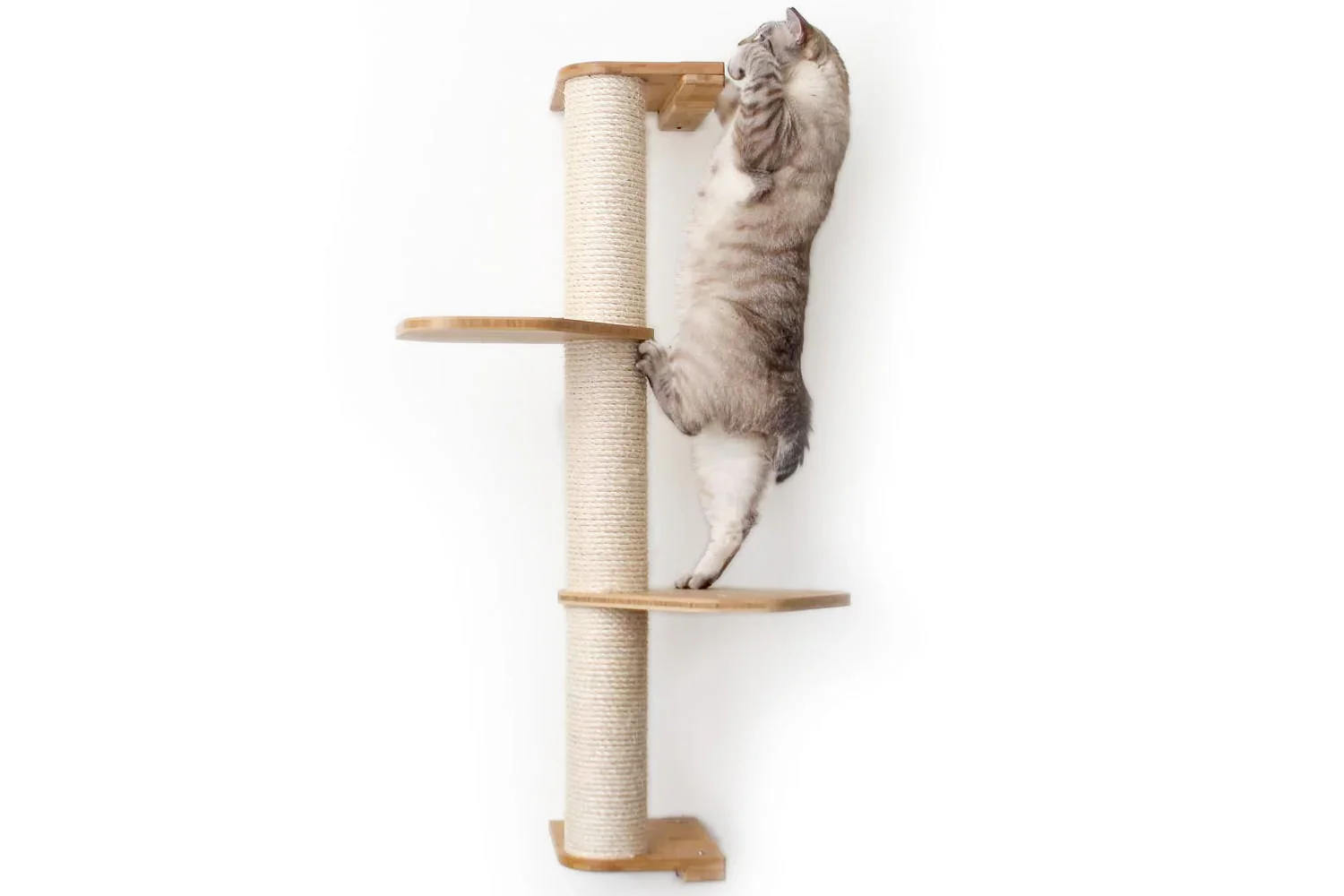 Wall Mounted Cat Climbing Pole - Sisal - Image 51