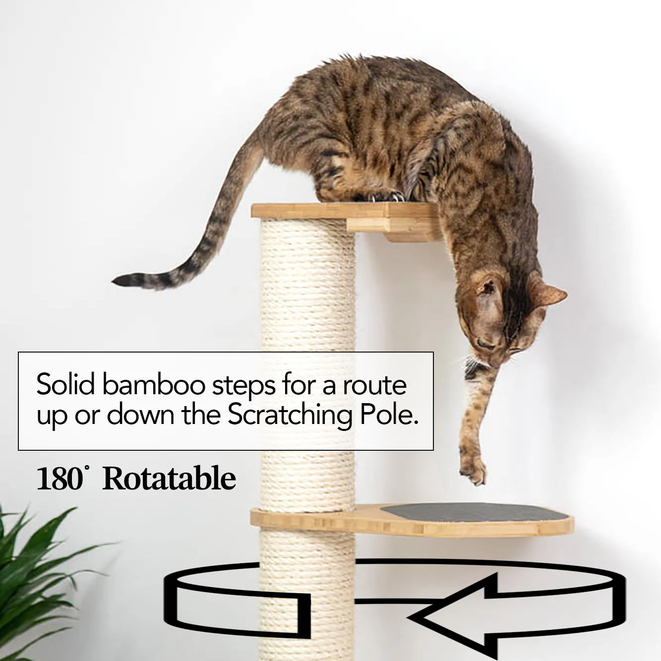 Wall Mounted Cat Climbing Pole - Sisal - Image 7