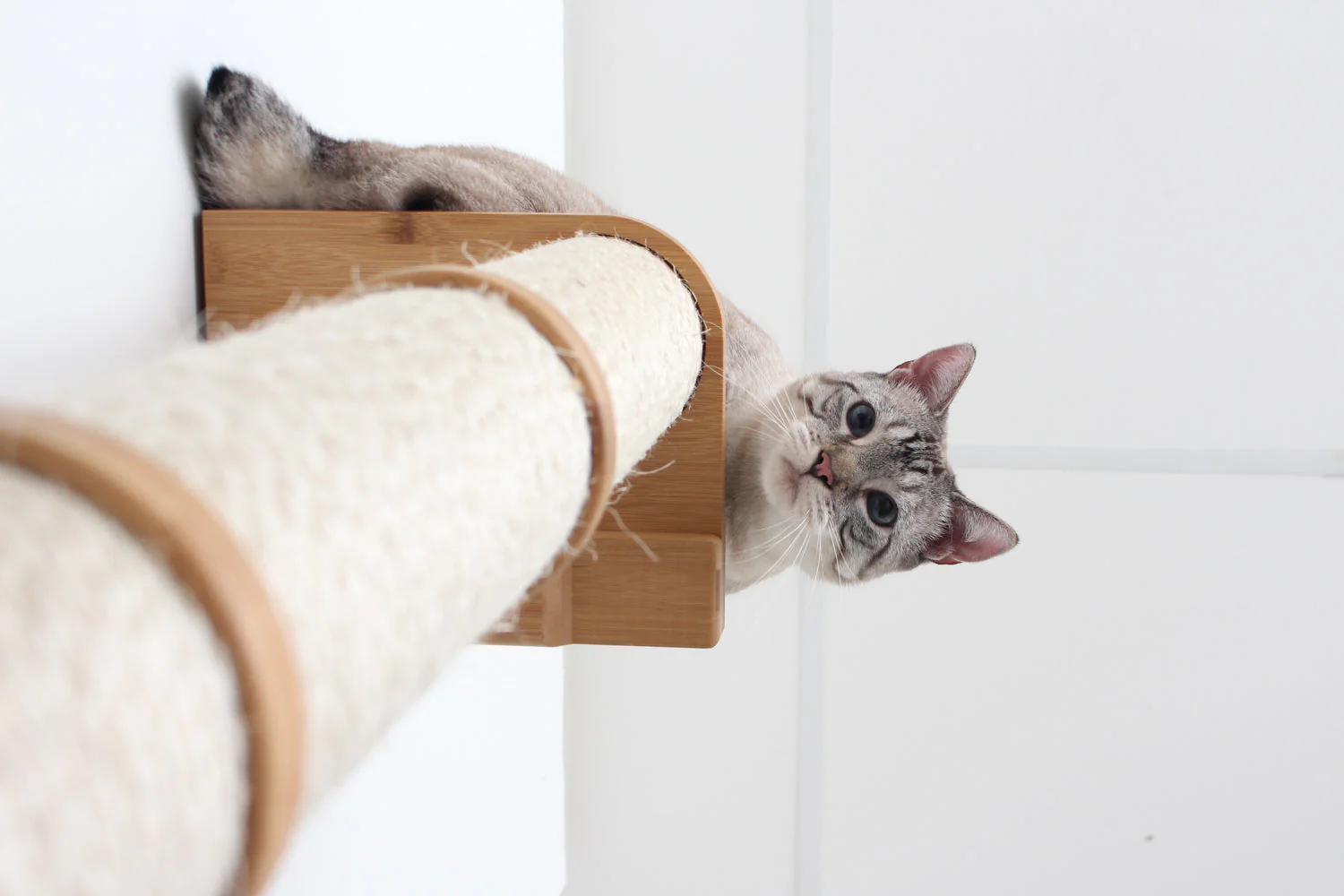 Wall Mounted Cat Climbing Pole - Sisal - Image 8