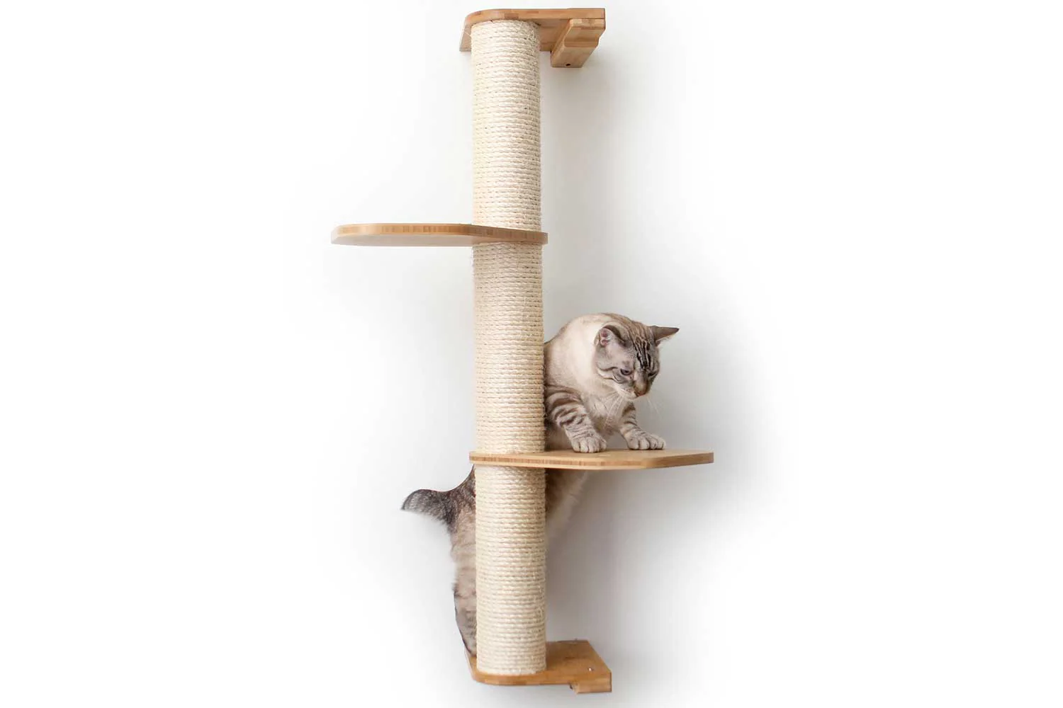 Wall Mounted Cat Climbing Pole - Sisal - Image 9