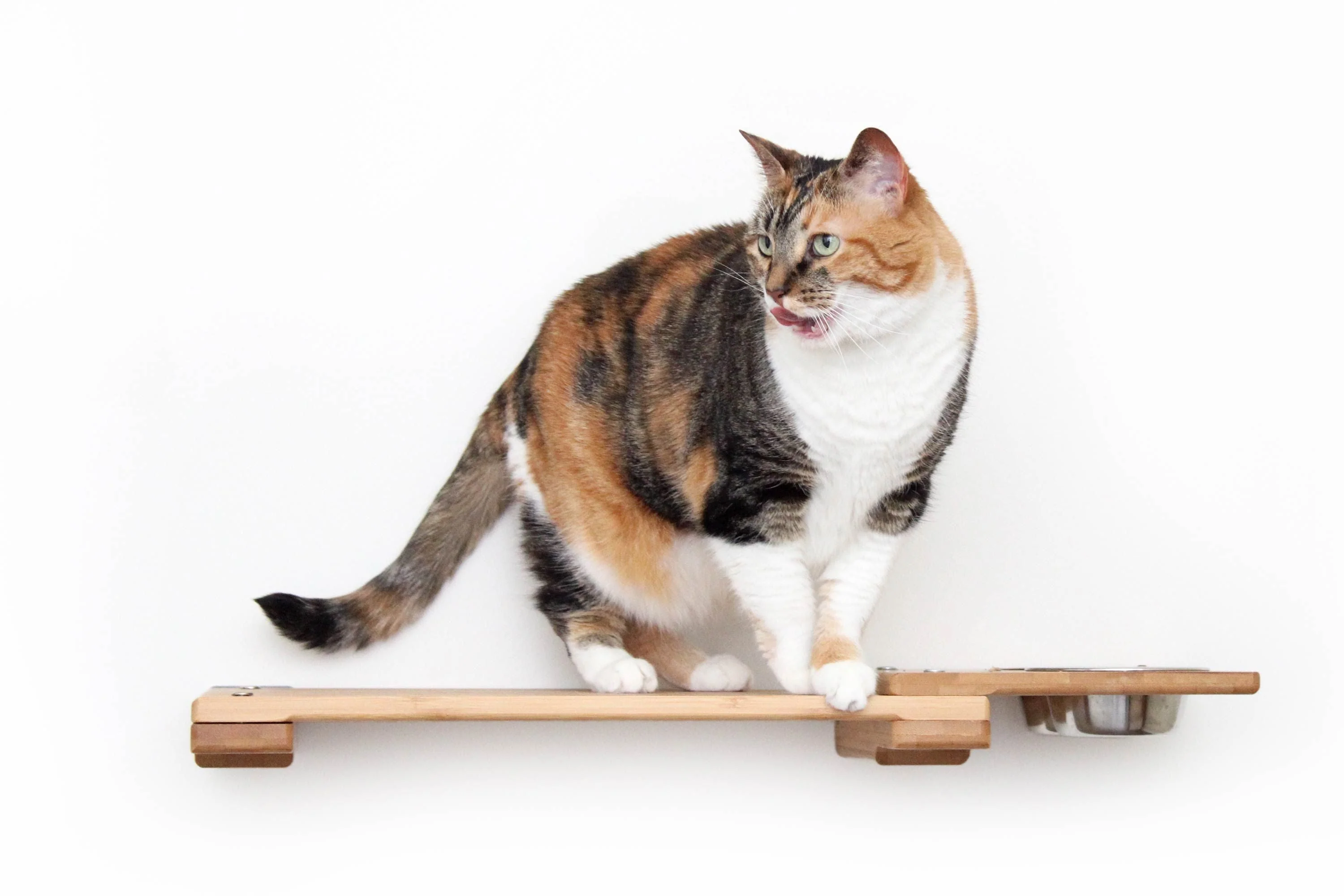 Wall Mounted Cat Feeding Shelf - Image 4