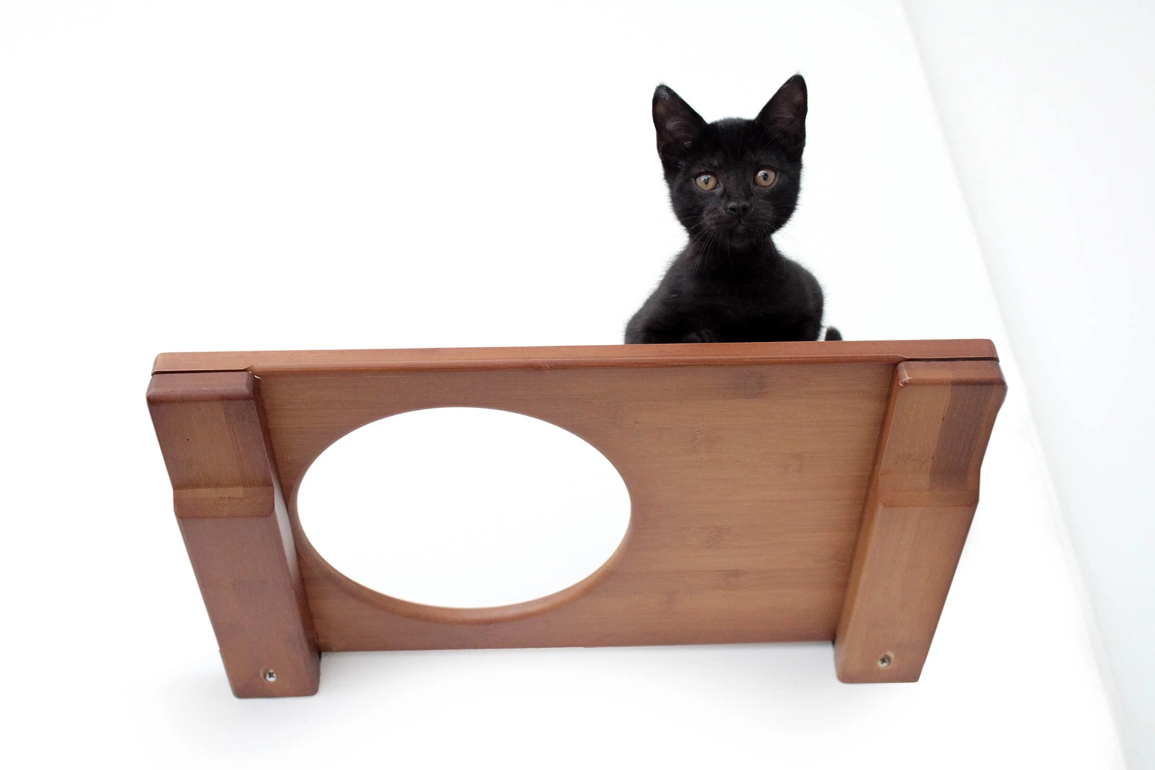 Wall Mounted Cat Shelf - Image 10