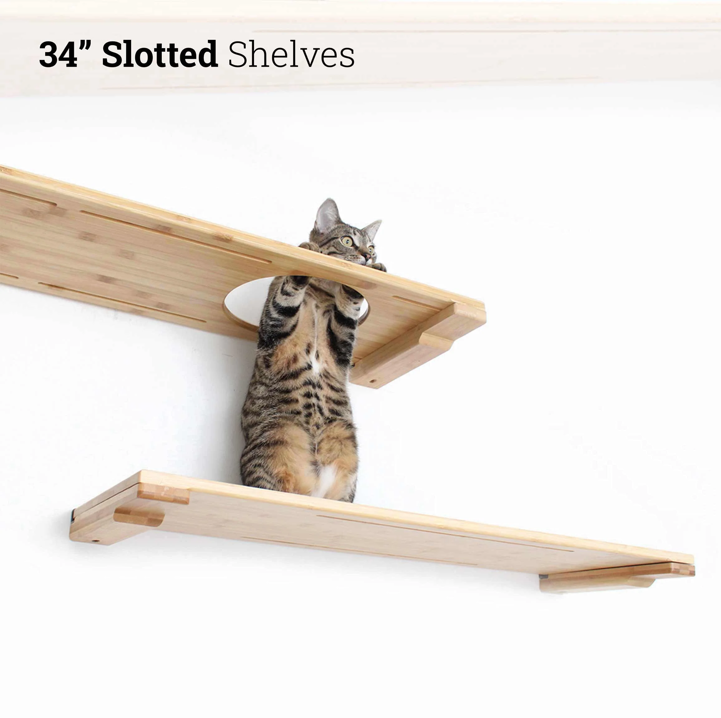 Wall Mounted Cat Shelf - Image 12