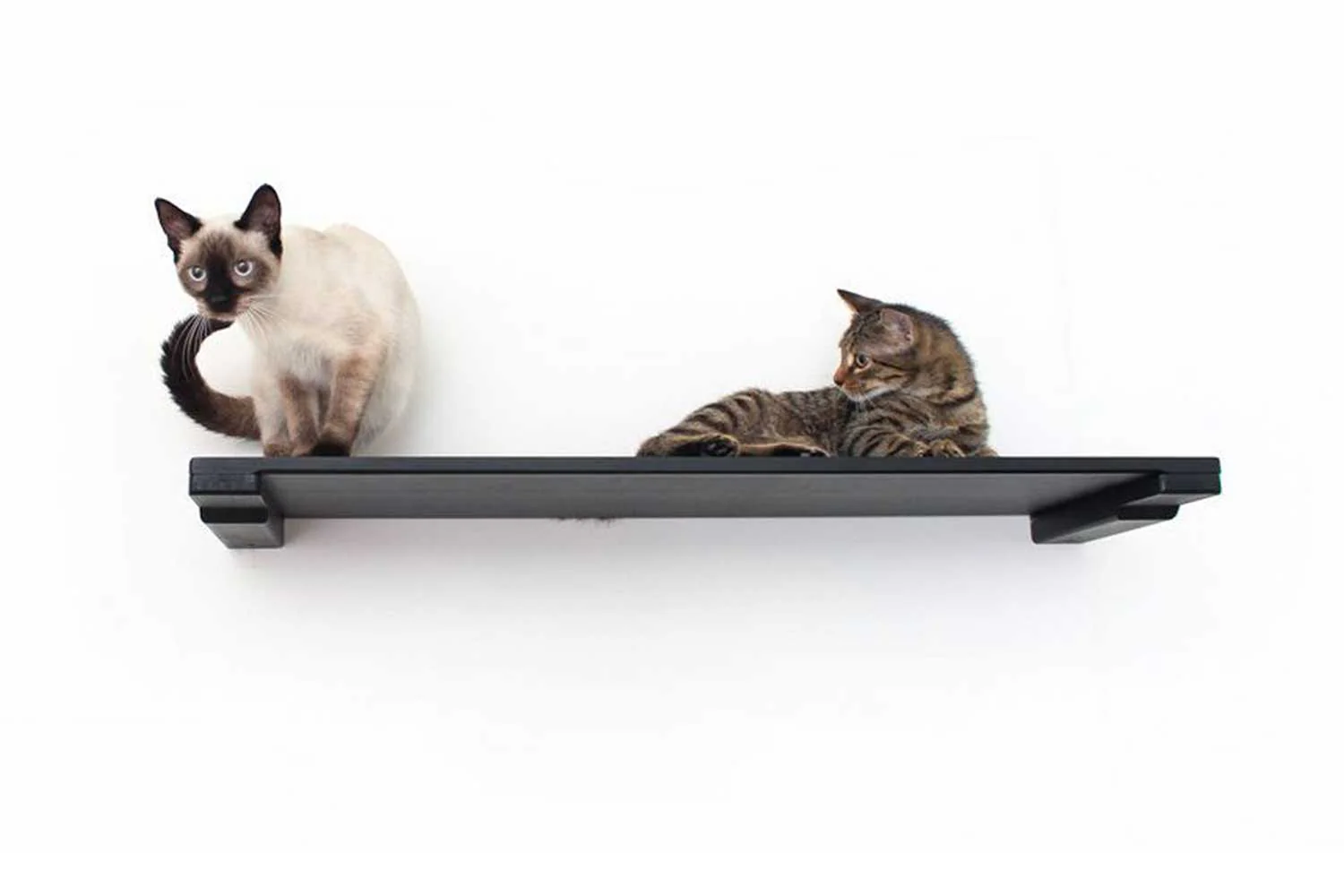 Wall Mounted Cat Shelf - Image 13