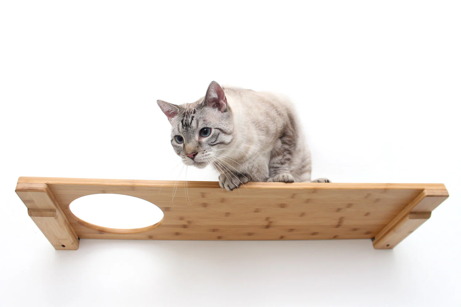 Wall Mounted Cat Shelf - Image 27