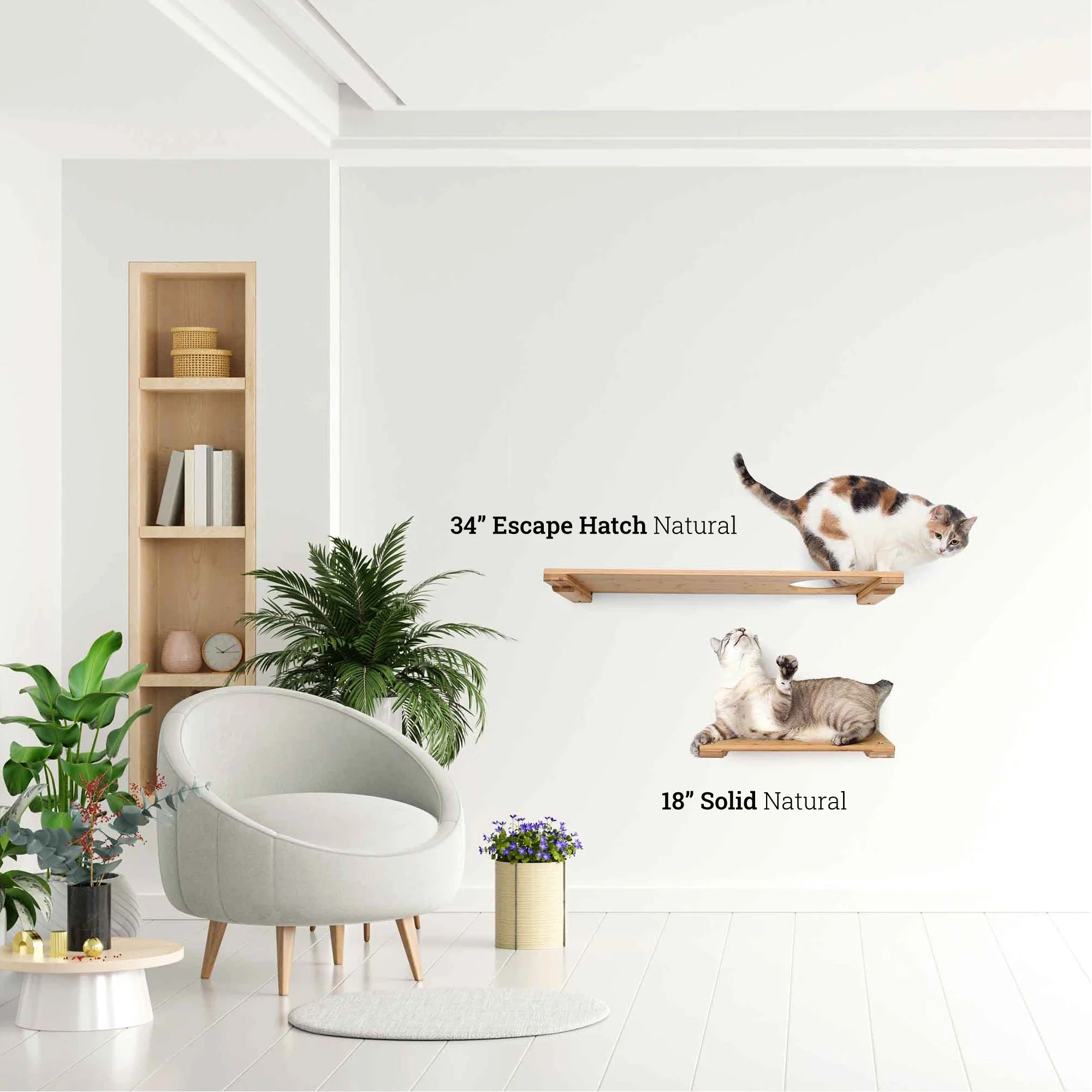 Wall Mounted Cat Shelf - Image 9