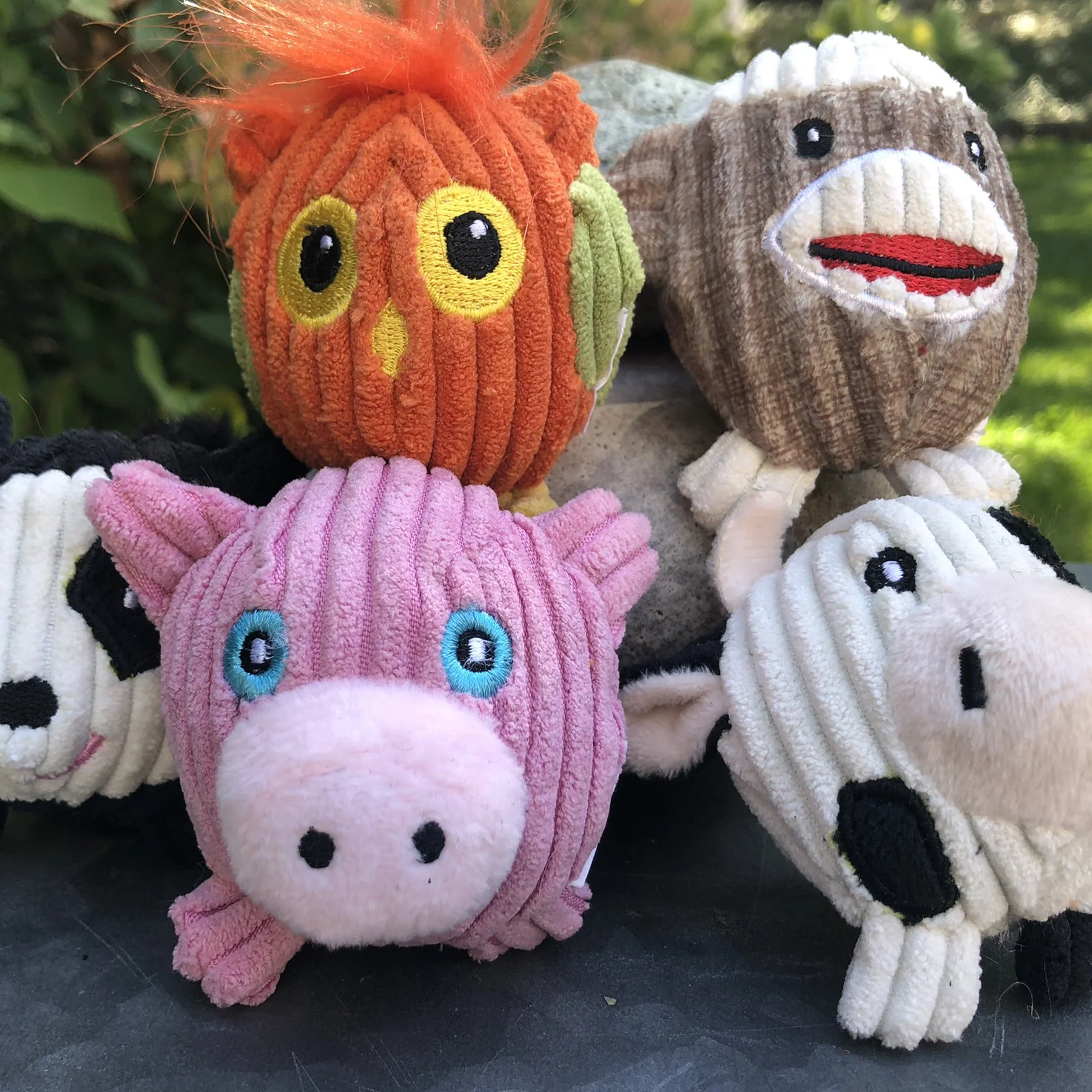 Wee Huggles® Assorted Balls Dog Toys, 5 Pack - Image 7