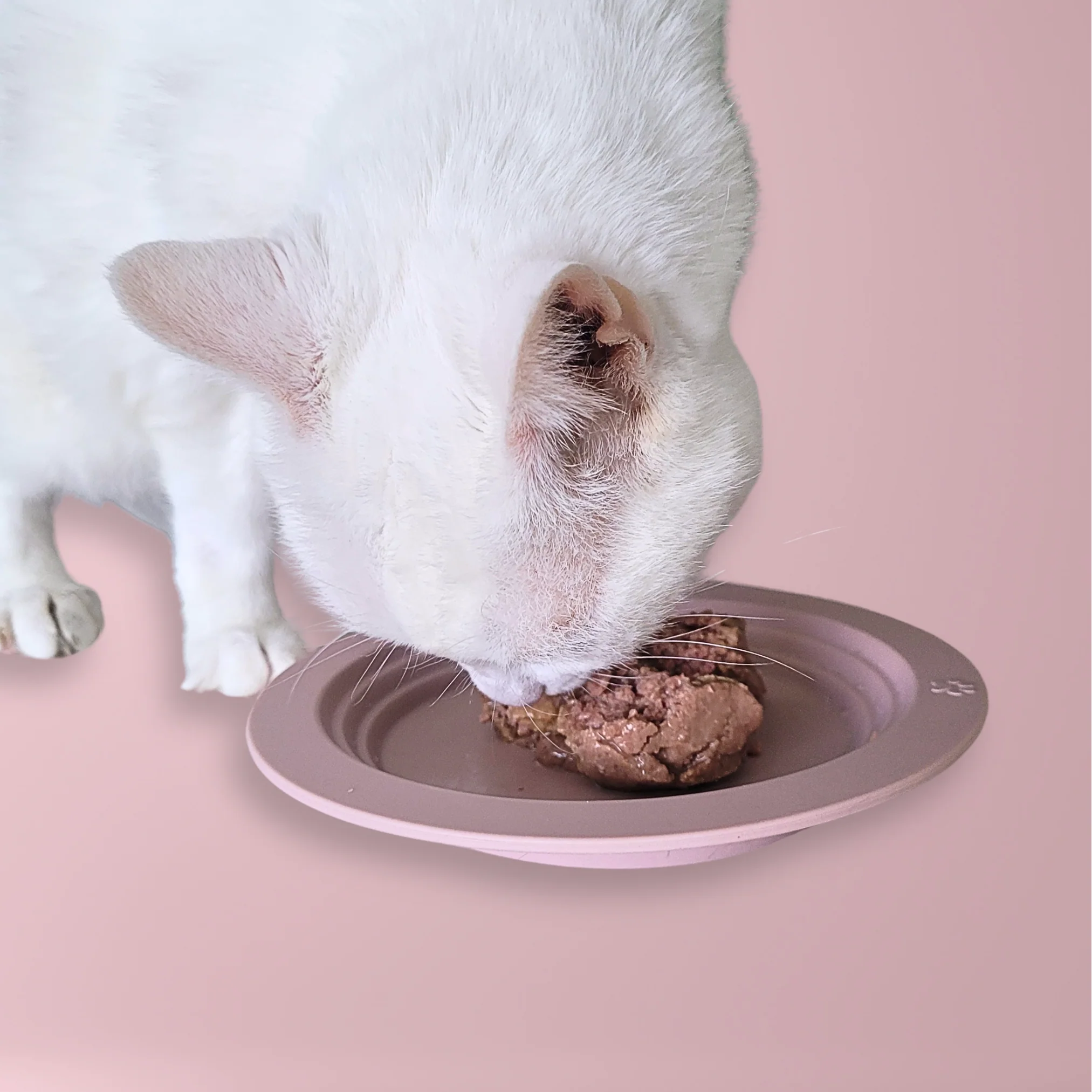 Whisker Friendly Cat Food Dish, Silicone, Shallow, Non Slip, Cat Dog Kitten Feeding Dish - Image 3