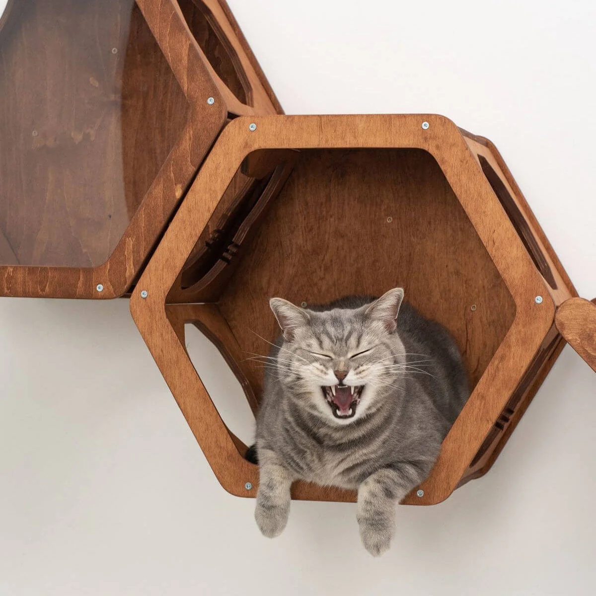 Wooden Cat Shelf Oak - Image 3