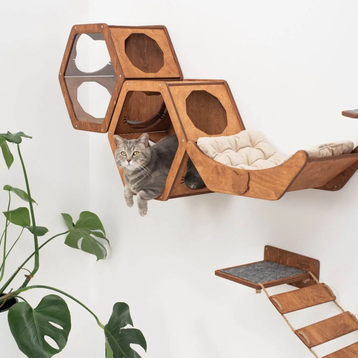 Wooden Cat Shelf Oak - Image 4