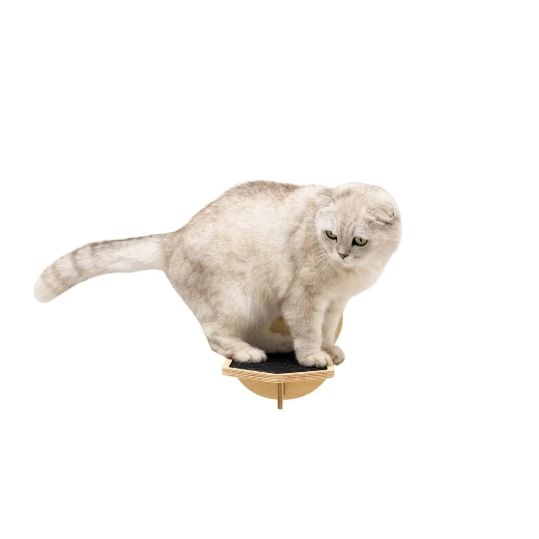 Wooden Cat Step - Light - Image 3