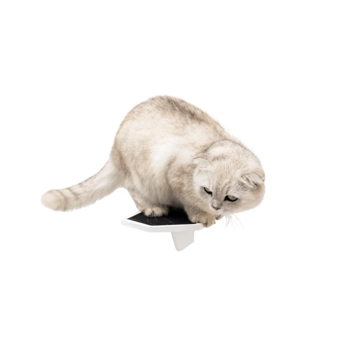 Wooden Cat Step - White - Image 3